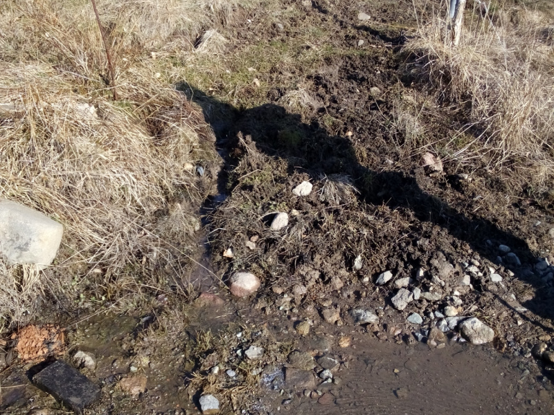 Fašiangový karneval spojený s pochovávaním basy 