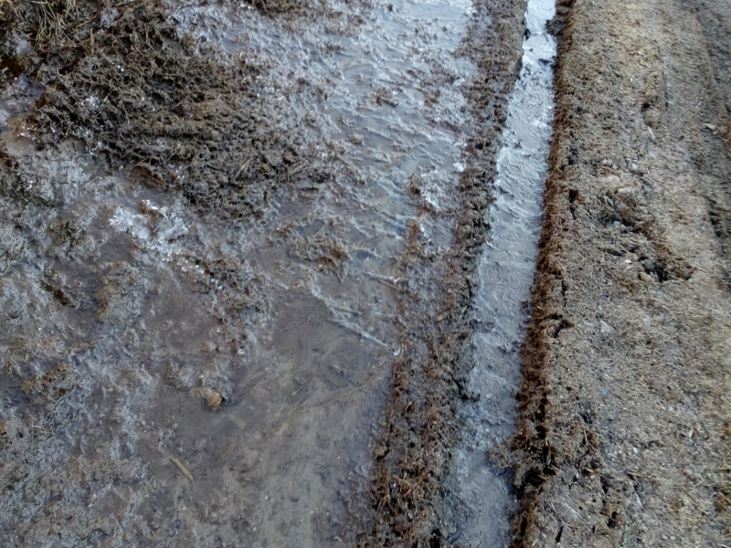 Fašiangový karneval spojený s pochovávaním basy 