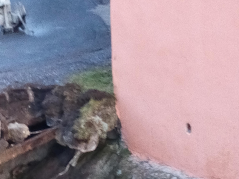 Vianočné trhy spojené s príchodom Mikuláša rok 2018