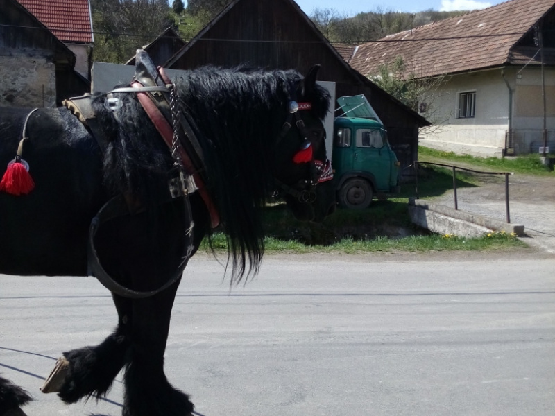 Kolpašská púť 2019
