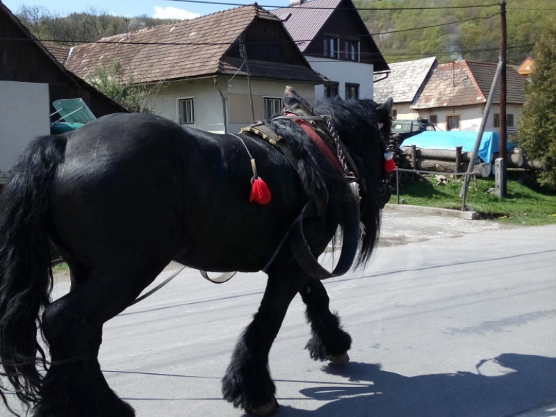 Kolpašská púť 2019